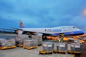 International air shipping
